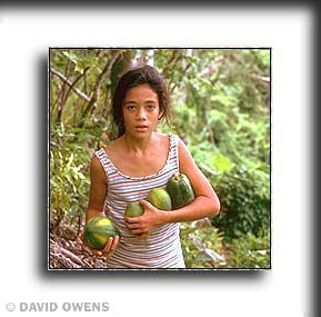 Papaya Harvest