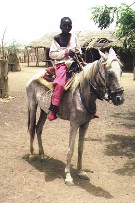 Wendou Nody
