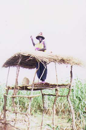 Wendou Nody
